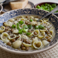 a single serving bowl of lentils with pasta with grated cheese and fresh chopped green onion,
